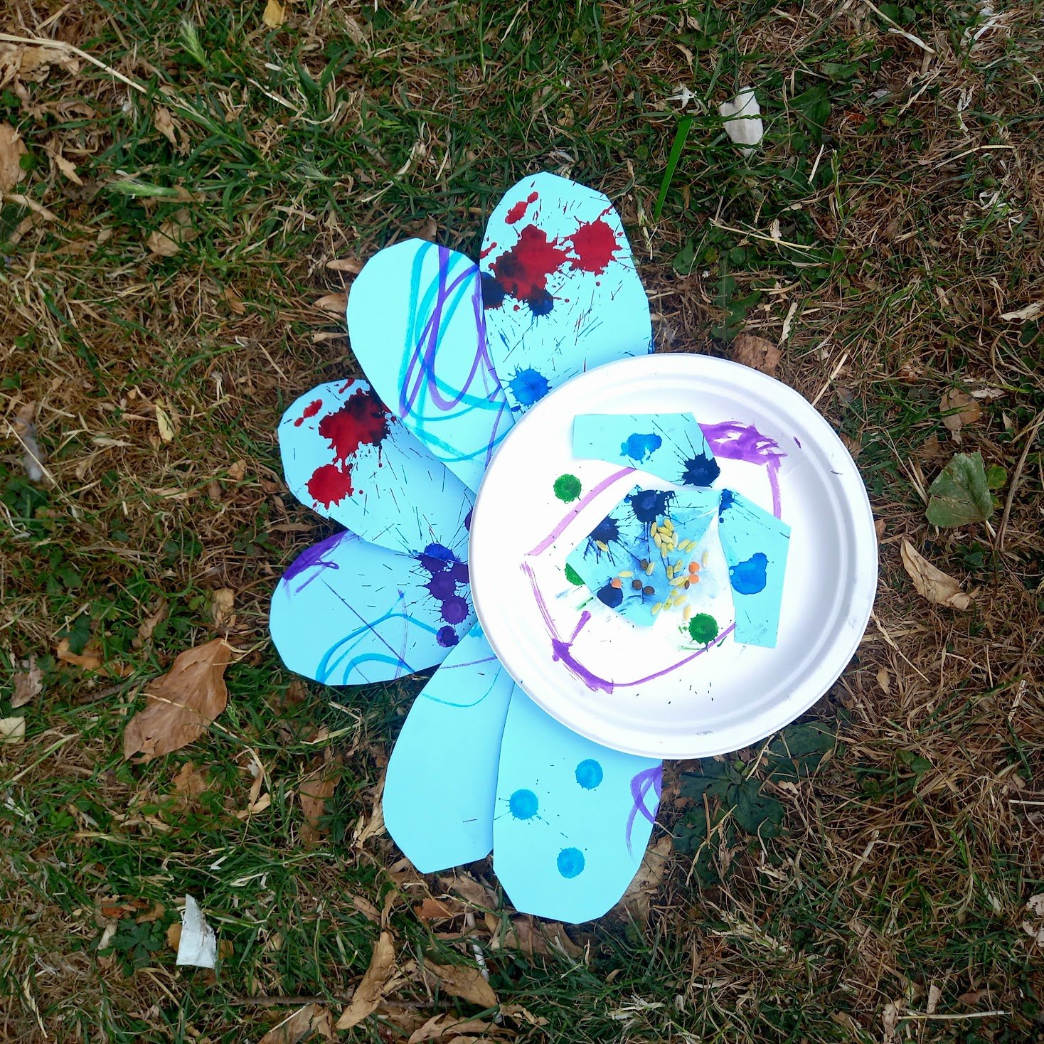 20250717_122423.jpg