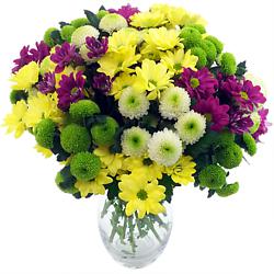 Chrysanthemums - our favourite of all native Asian flowers