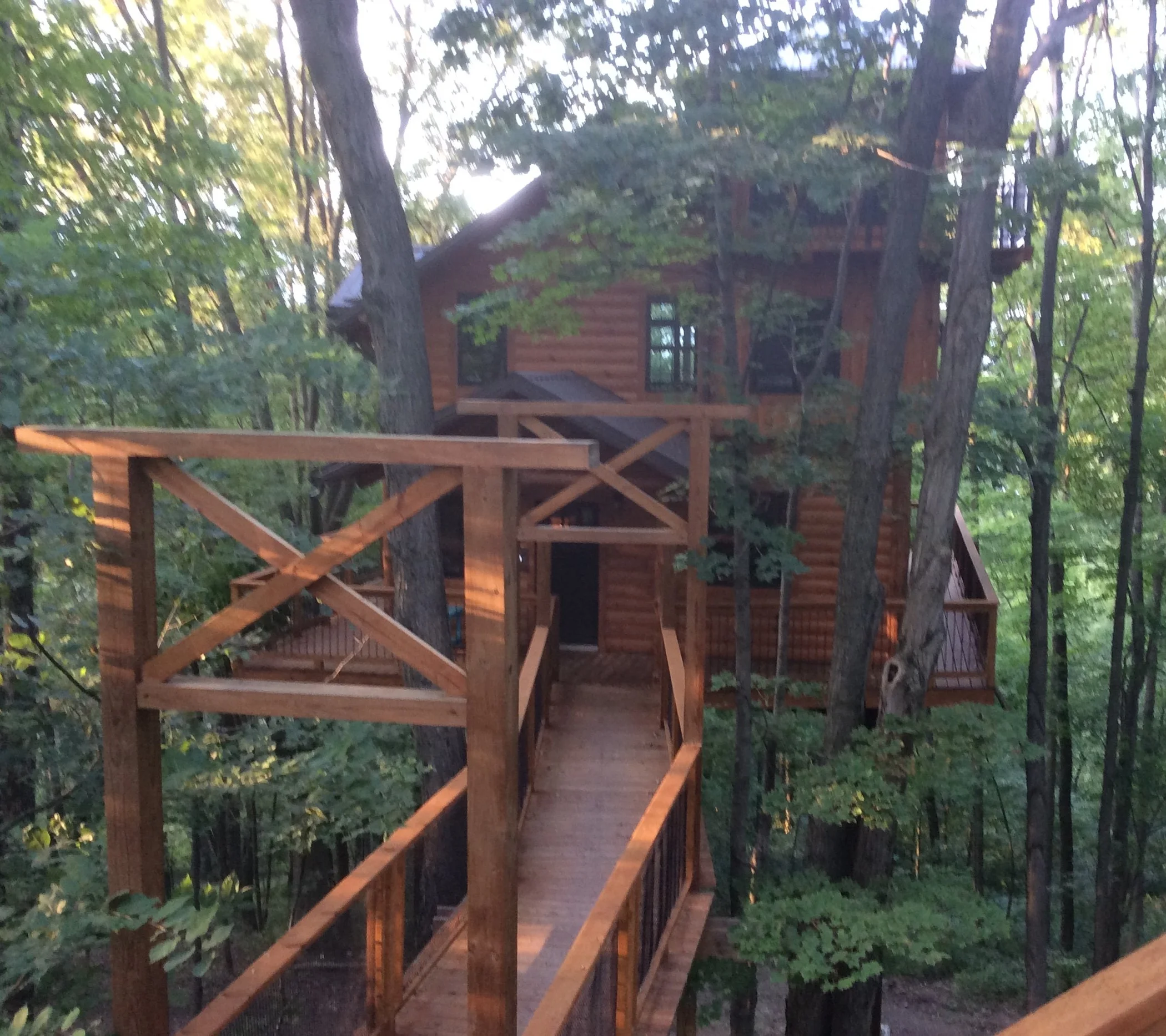 Our Tree House Adventure in Berlin, Ohio