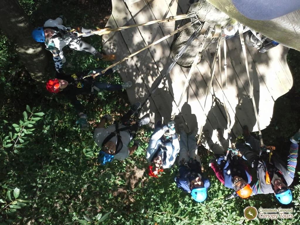20170909_115733.jpg
