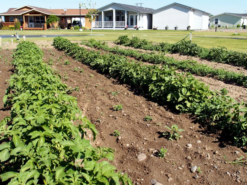 Garden Space | The Lakes Mobile Home Park