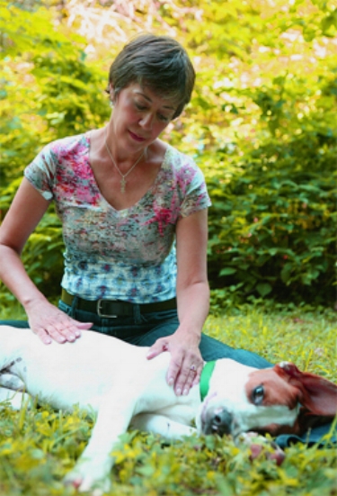 Shannon facilitating a pet healing session on Gus, who clearly loved receiving the healing energies.
