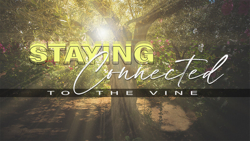 lh-sermon_Staying Connected to the Vine_16x9 @800px.jpg