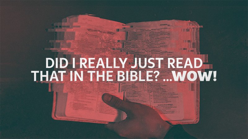 lh-sermon_Did I really just read that in the Bible_16x9 @800px.jpg