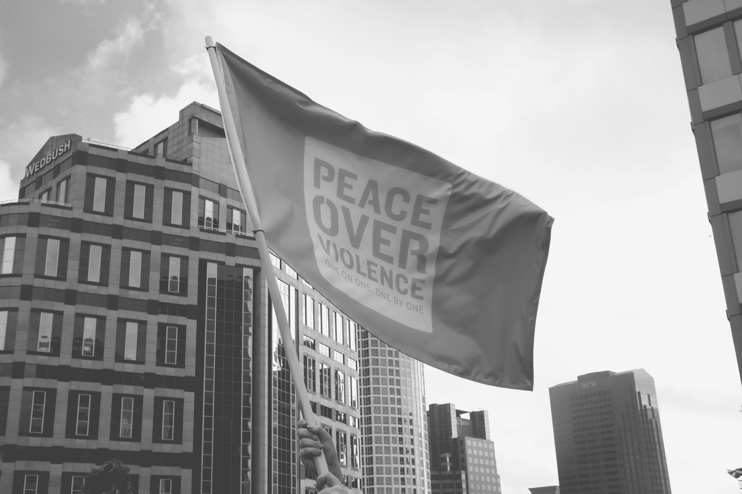 Pattis Pov — Peace Over Violence 