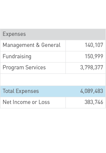 Expenses2018.png