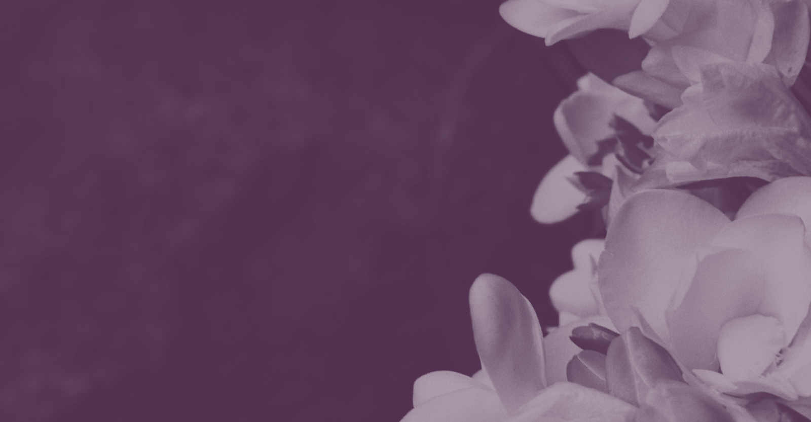 about-banner.png
