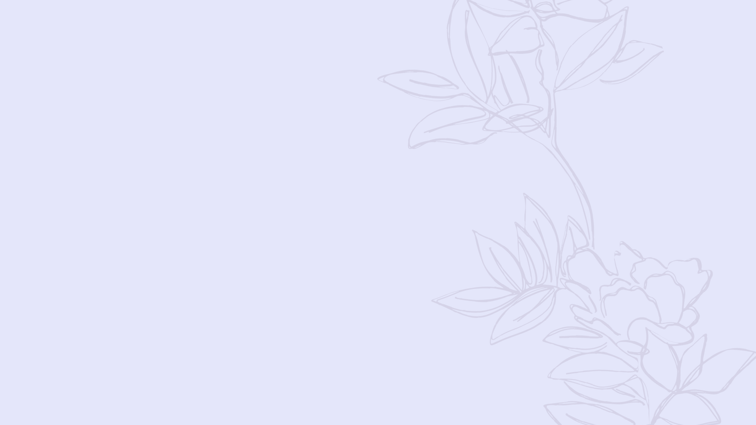 bg1.png