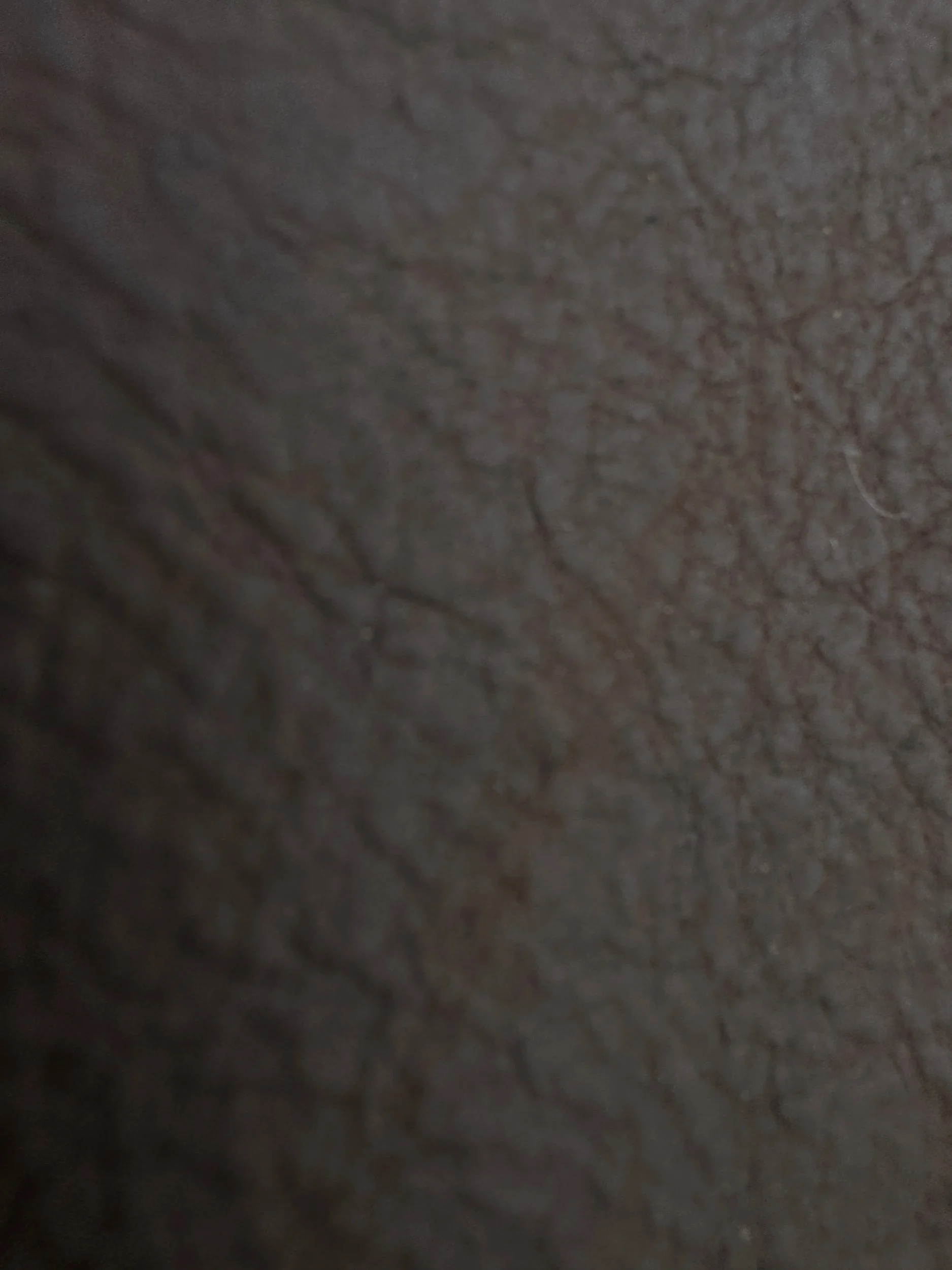 591C48DC-7CE8-43E5-8D13-C680AE0F8345.jpeg