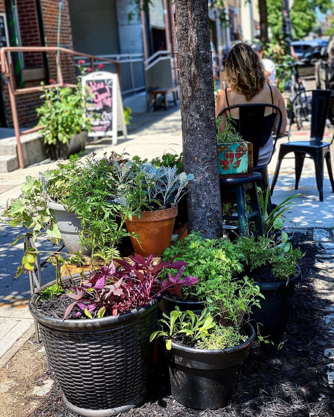 Reposted from @foodbabysoul: 

&ldquo;New Outdoor Seating @pitangabk&hellip;

Big ups to the businesses I support with #guerrillagardening and the gorgeous neighbors bringing it together with pots, plants, mulch, water, and soil.&rdquo;