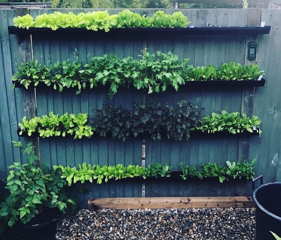 📸 by @dorganicgarden.

Short on space? No problem! Vertical gardens are a great way to bring greenery to small areas. 🌿