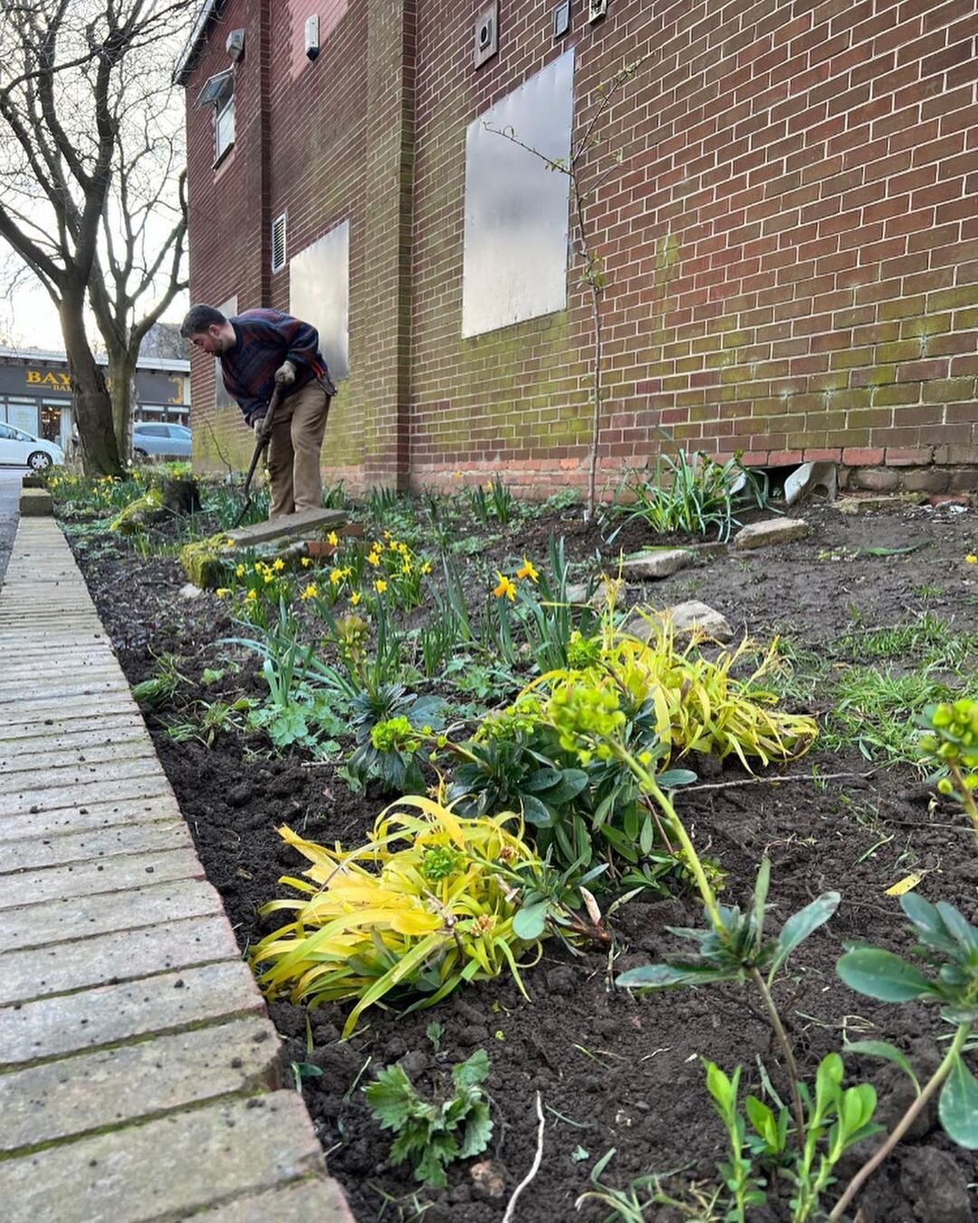 Discover the transformative power of guerrilla gardening with @deancharltongardener and @andrewwiley_. Their relentless efforts have revitalized a neglected corner in Rotherham, South Yorkshire of England, showcasing the beauty of resilient planting 