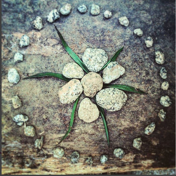 rock flower.png
