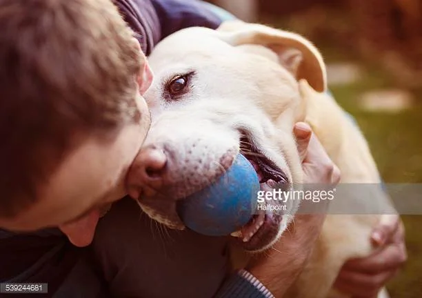 Photo by Halfpoint/iStock / Getty Images