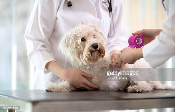 Photo by LuckyBusiness/iStock / Getty Images