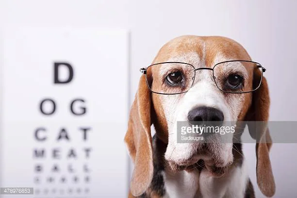 Photo by Sadeugra/iStock / Getty Images