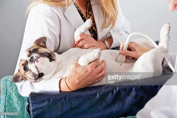Photo by kali9/iStock / Getty Images