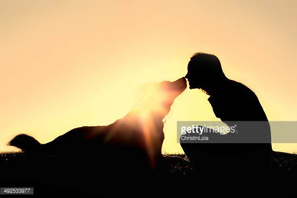 Photo by ChristinLola/iStock / Getty Images