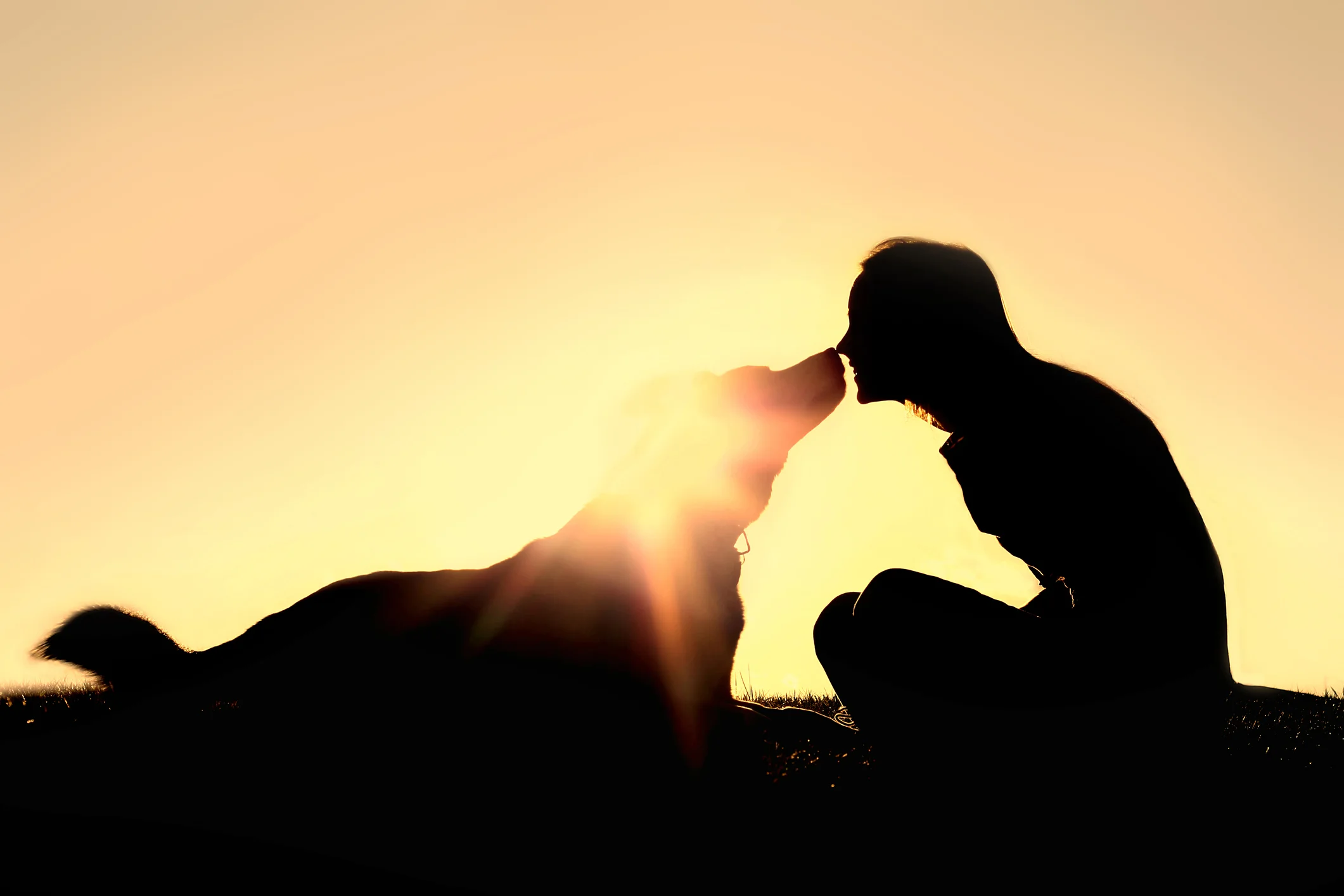 Photo by ChristinLola/iStock / Getty Images