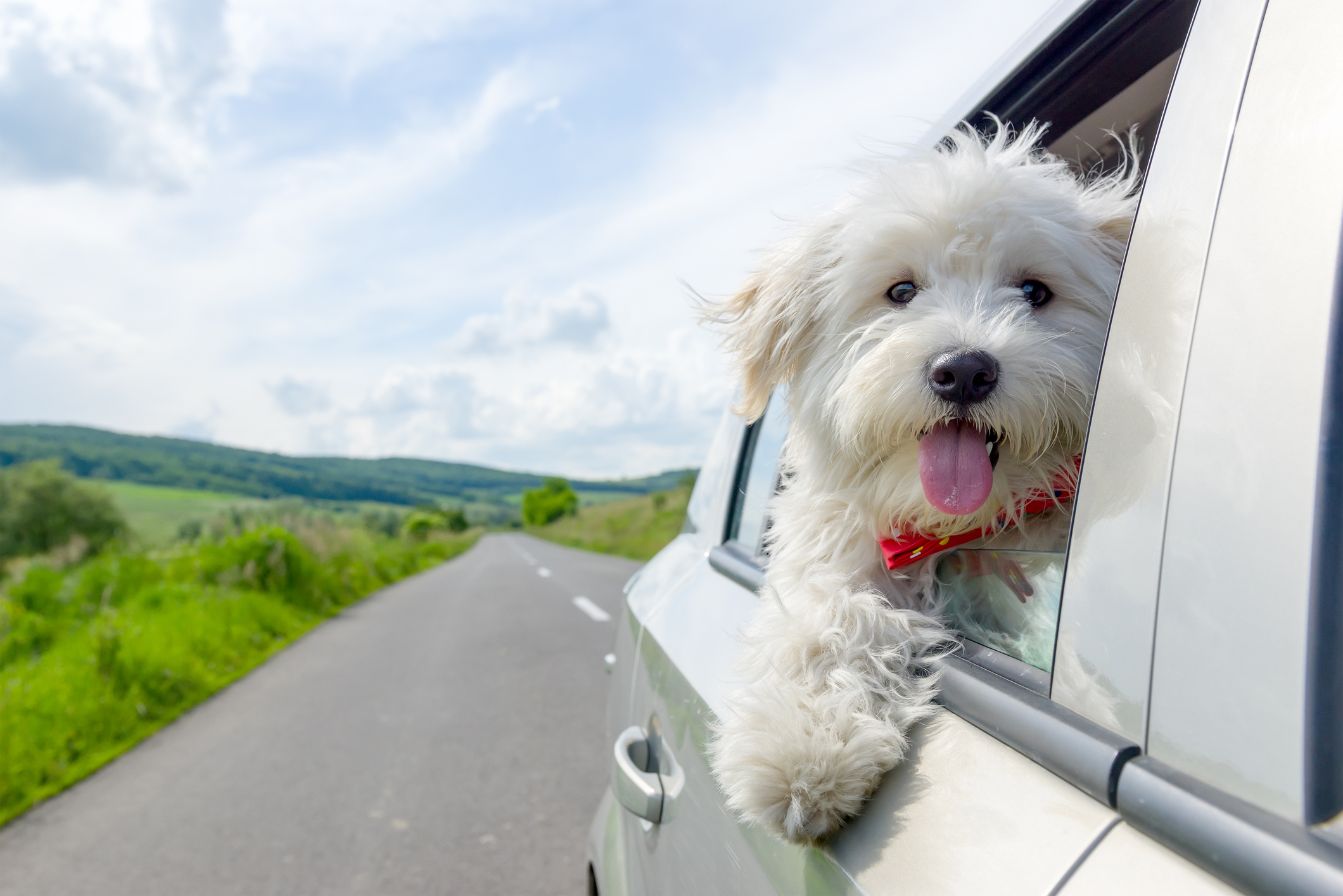 Photo by kosziv/iStock / Getty Images