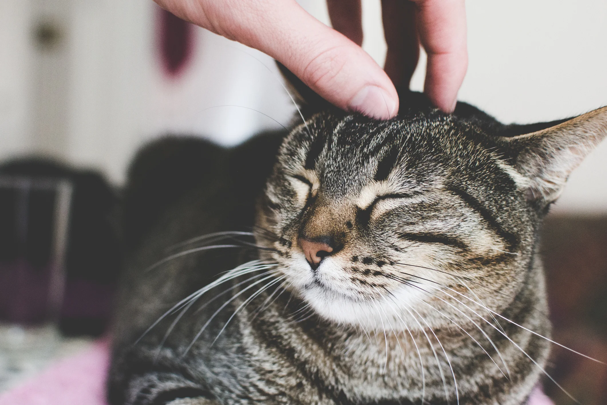 Photo by KandM-photography/iStock / Getty Images