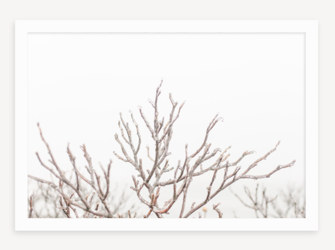Screen Shot 2019-05-22 at 2.09.58 PM.png