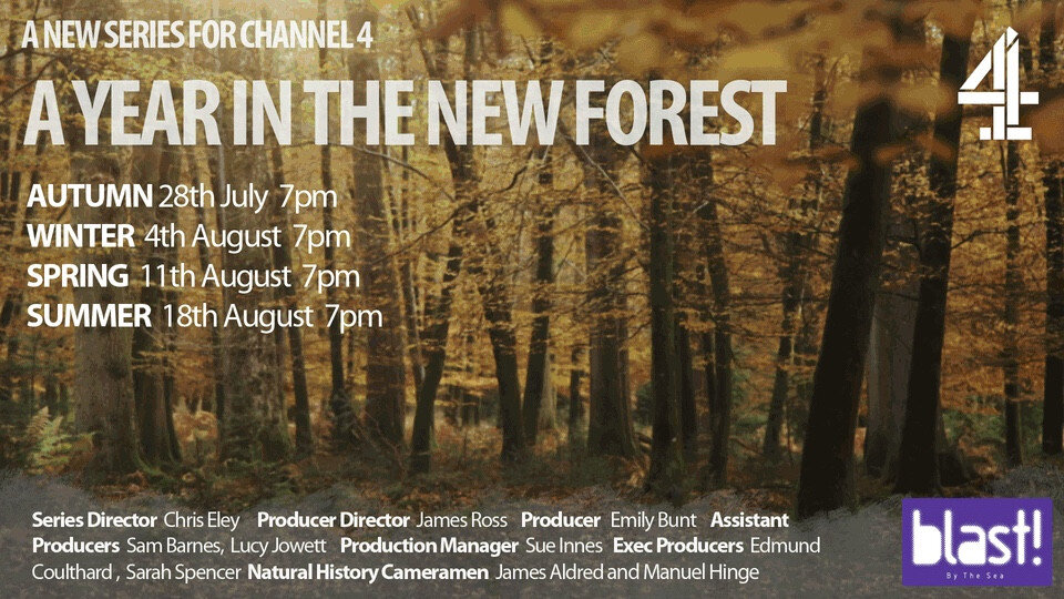 A Year In the New Forest,  Channel 4,  4 x 60mins