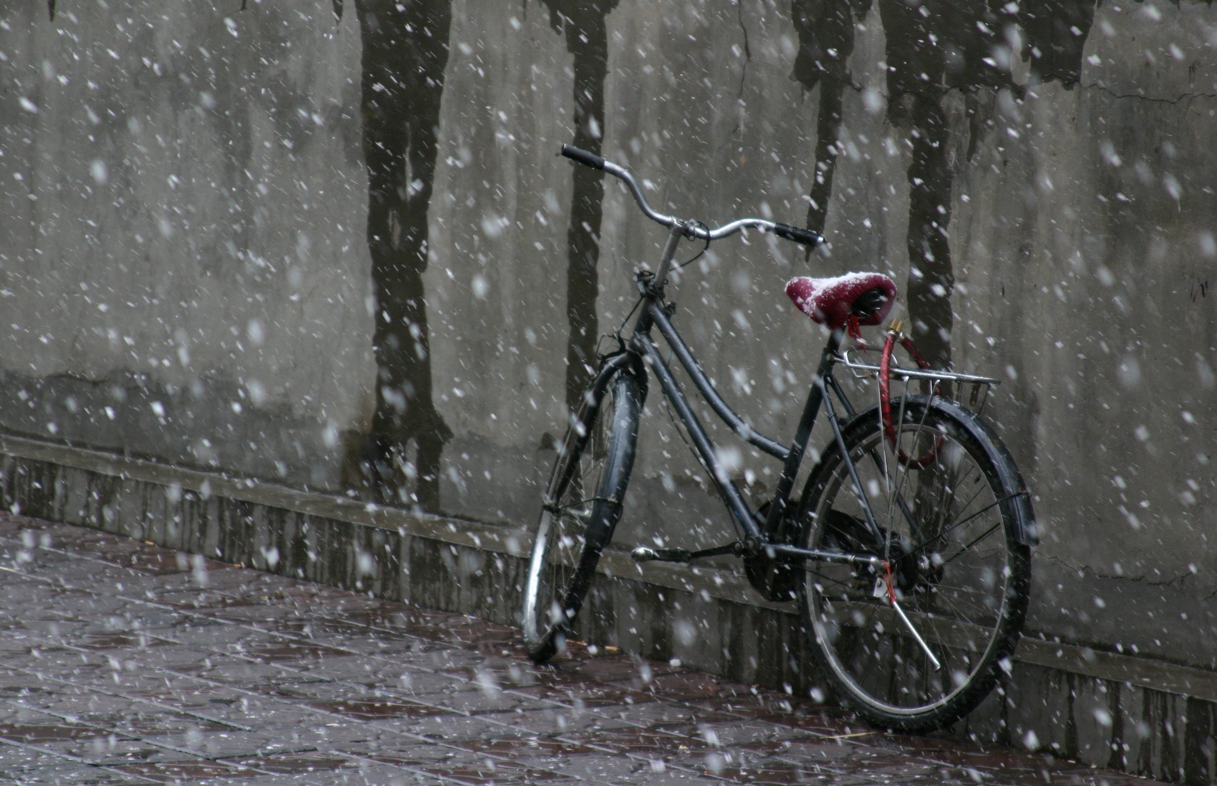 Bike under snow.JPG