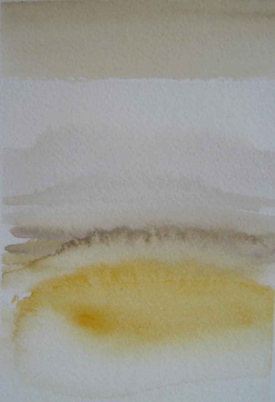 Whole Wheat Bread & Sunflower Seeds. 08.28.2010.