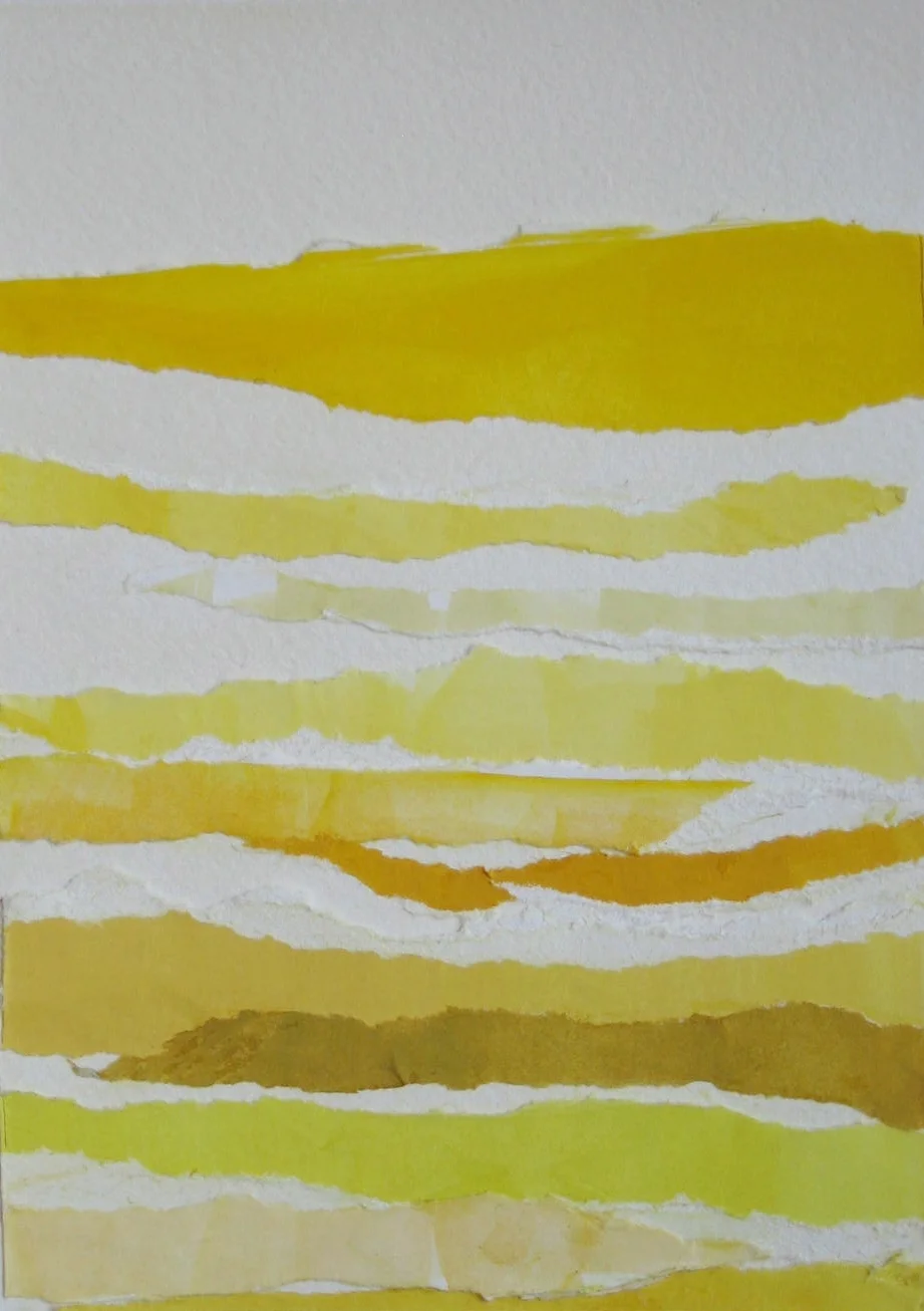 Yellow Everywhere on a Gray Day. 05.12.2010.