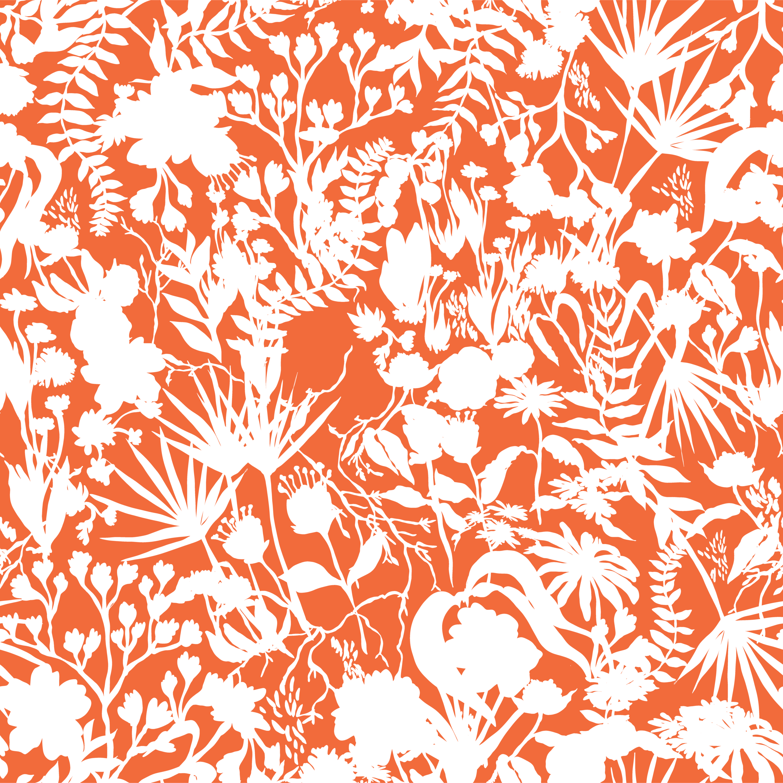 8915572_marissa_huber_dp_jungle_orange_sp-01.png
