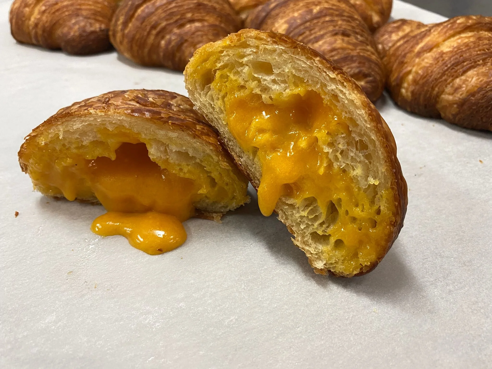 WhatsApp Image 2021-07-23 at 3.19.39 PM.jpeg