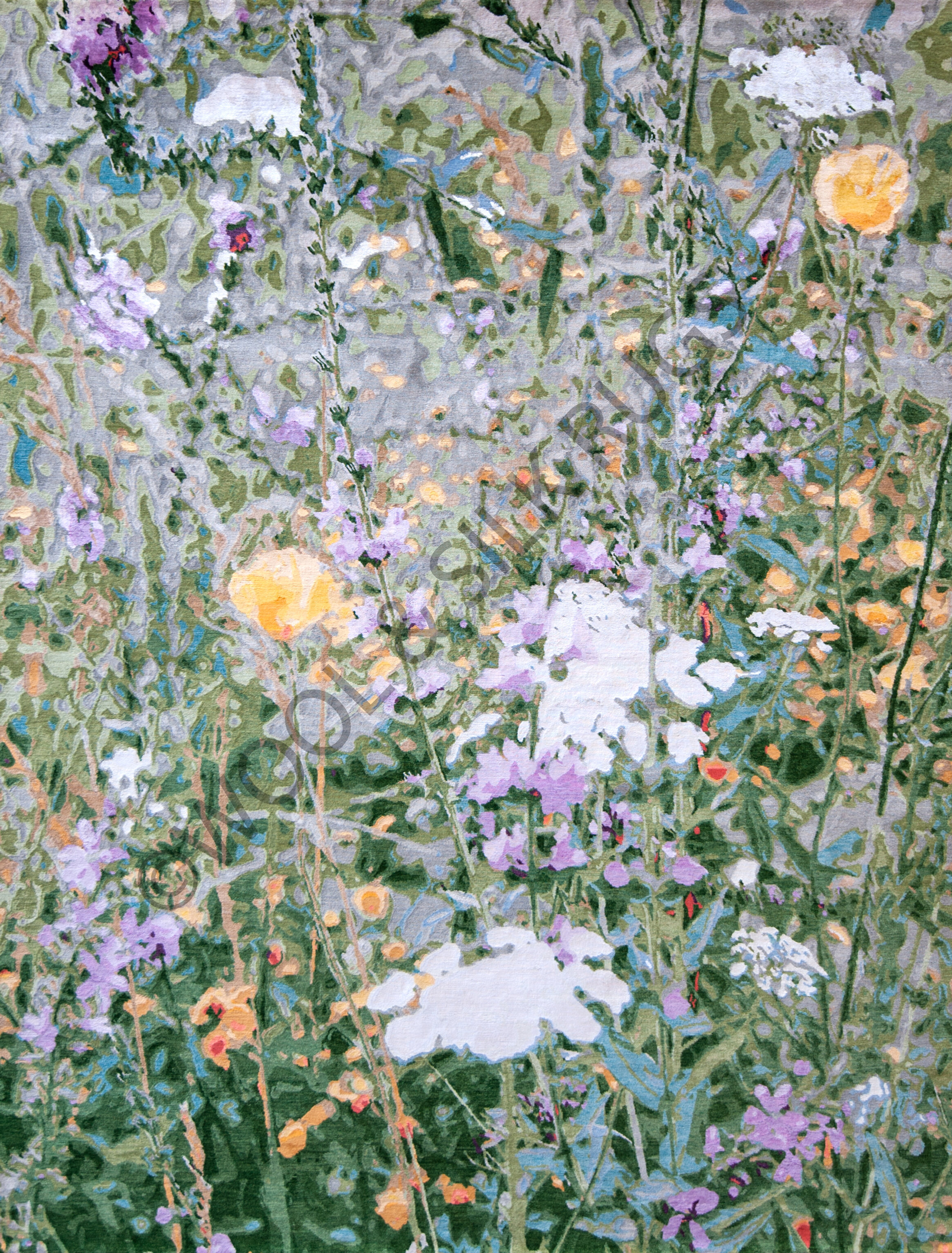 Wildflowers - Spring