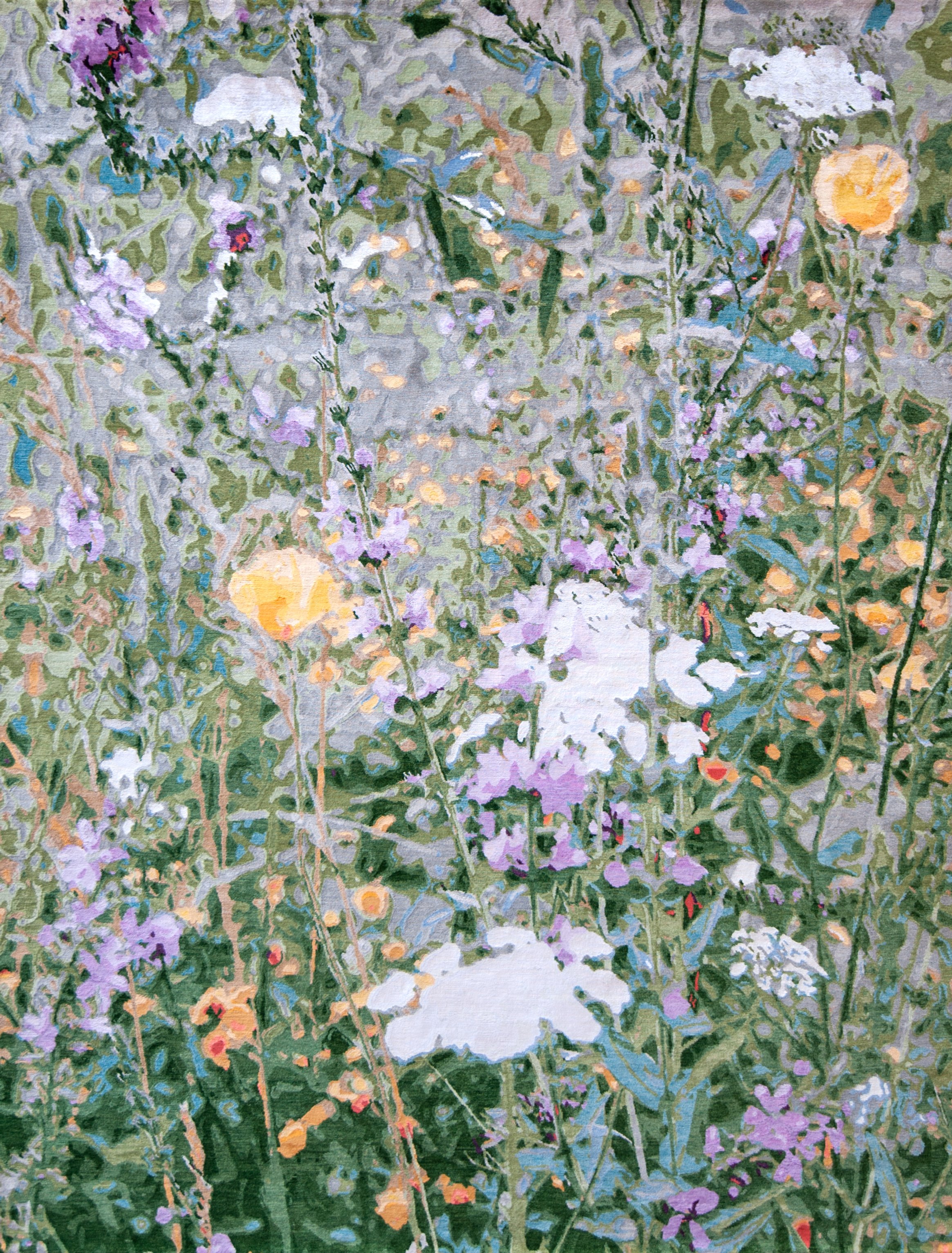 Wildflowers - Spring