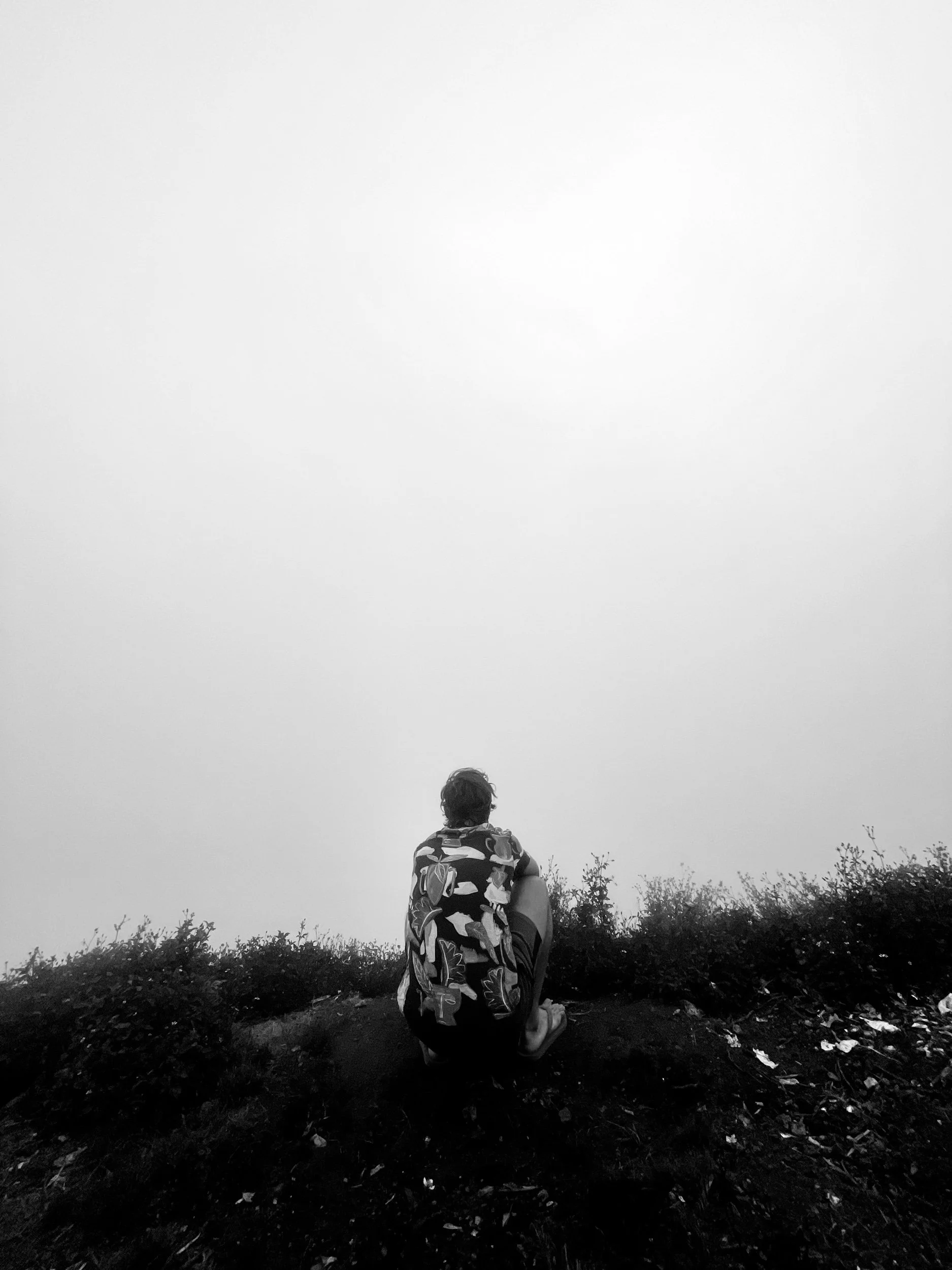 IMG_2424.jpeg