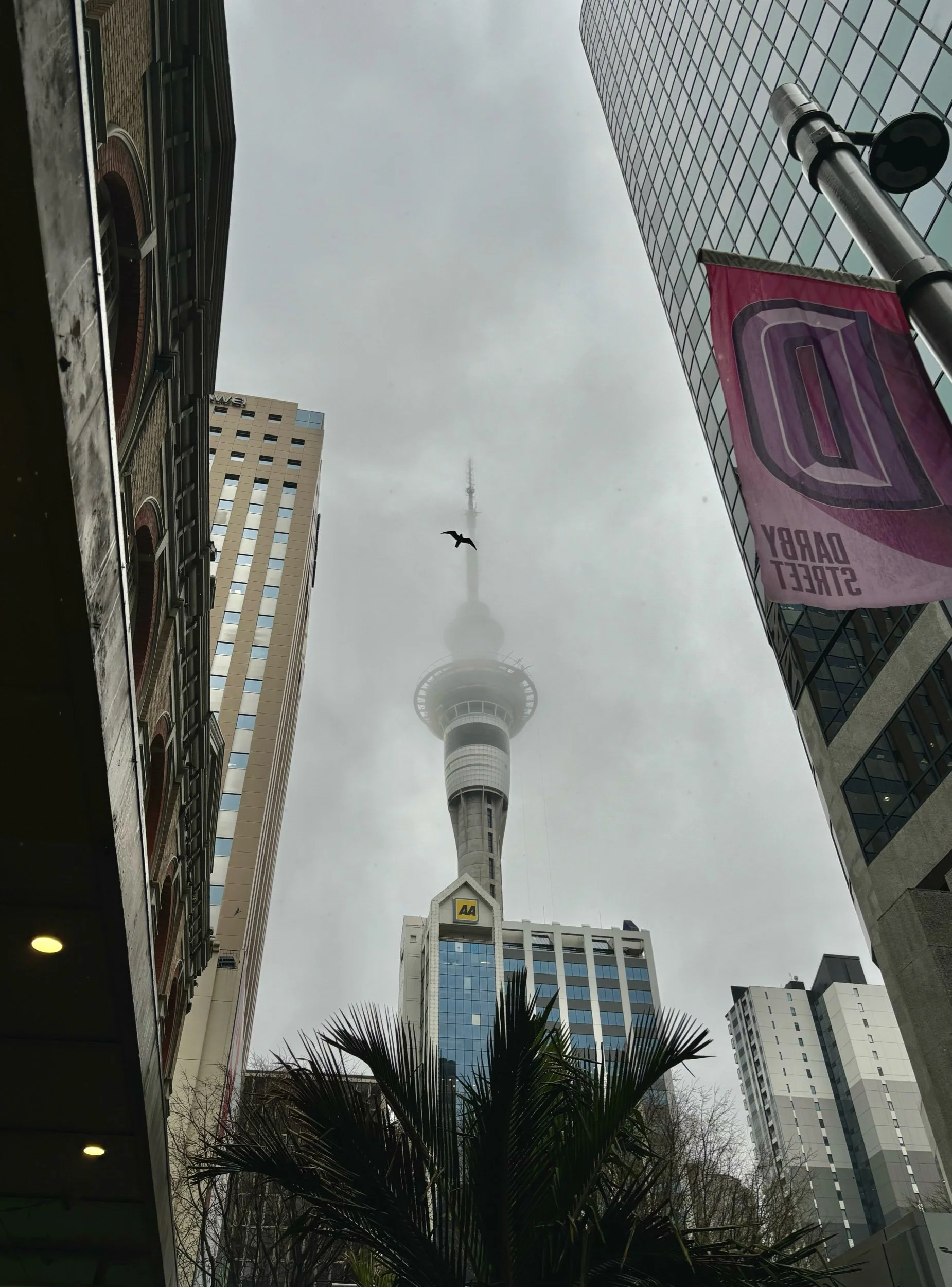 IMG_1620.jpeg