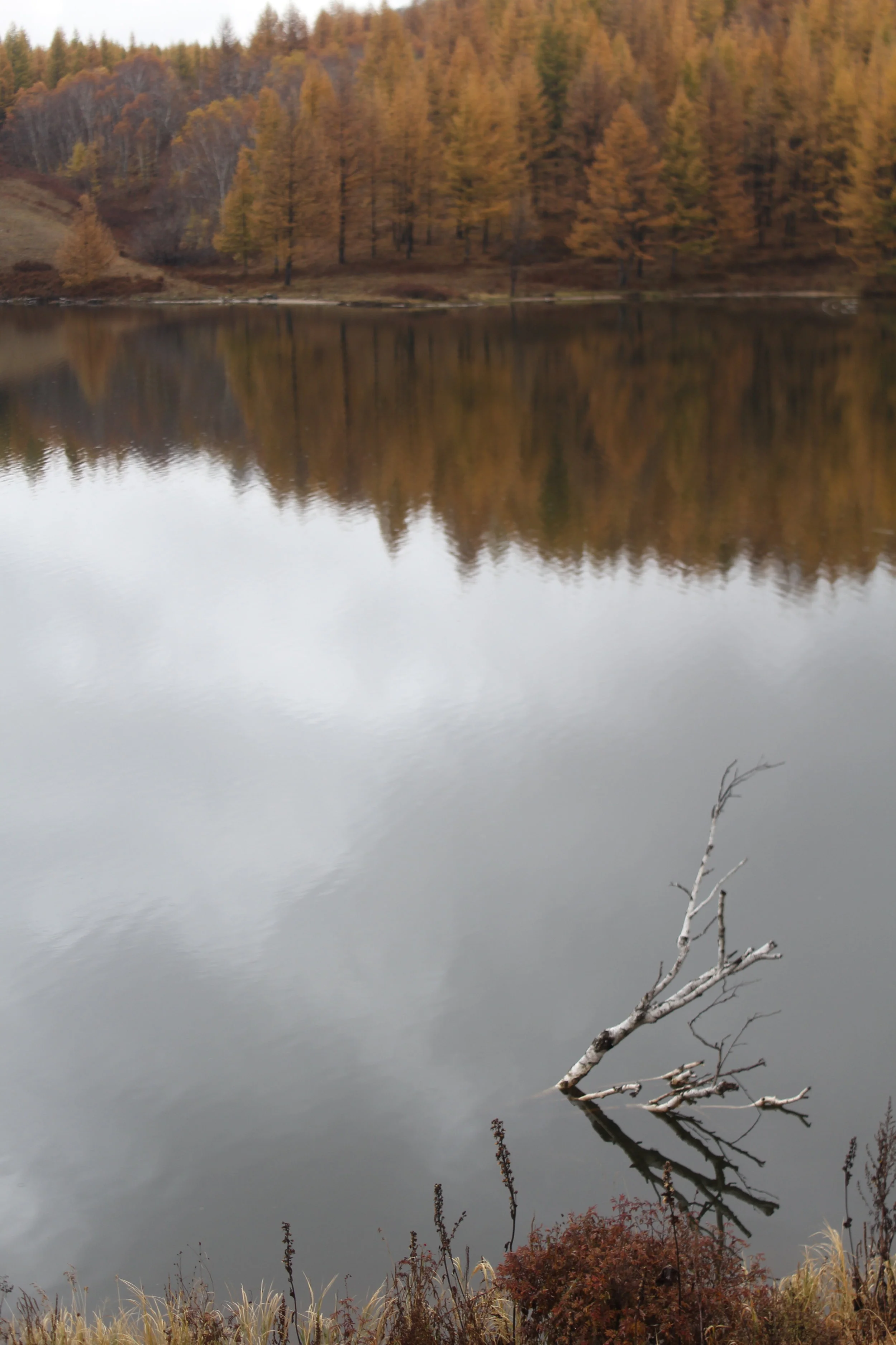 Inner Mongolia - People's Republic of China