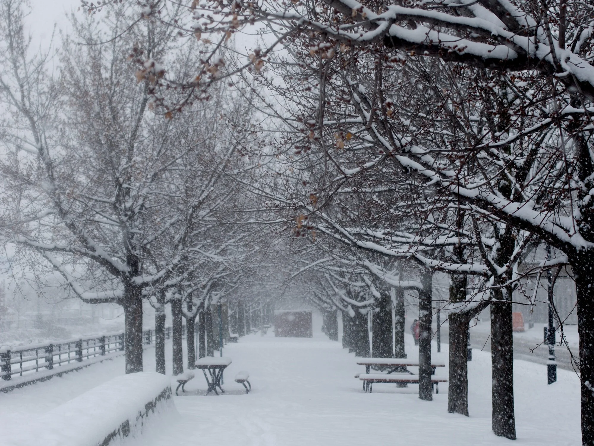 Montreal - Canada