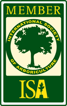 isa.png