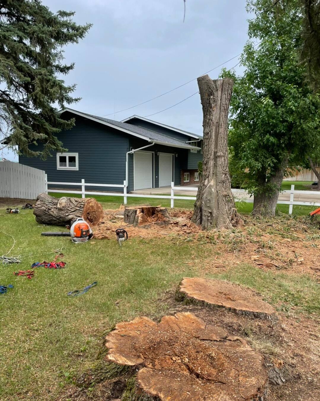 A little stump grinding before and after. Contact us today for a free estimate.