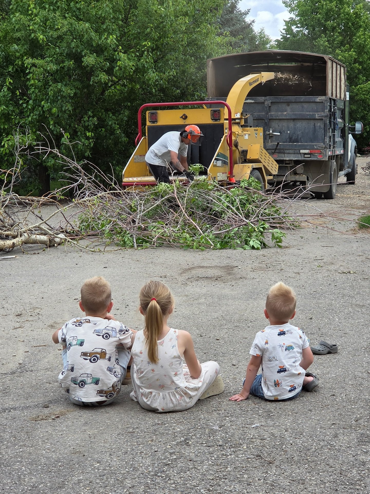 Forget tablets and cartoons &mdash; nothing beats the thrill of a wood chipper in action. 🎥🌳
Free front-row entertainment, courtesy of tree work and curiosity.
#TreeWorkThursday #FreeEntertainment #TimberlineMoments #LittleSpectators