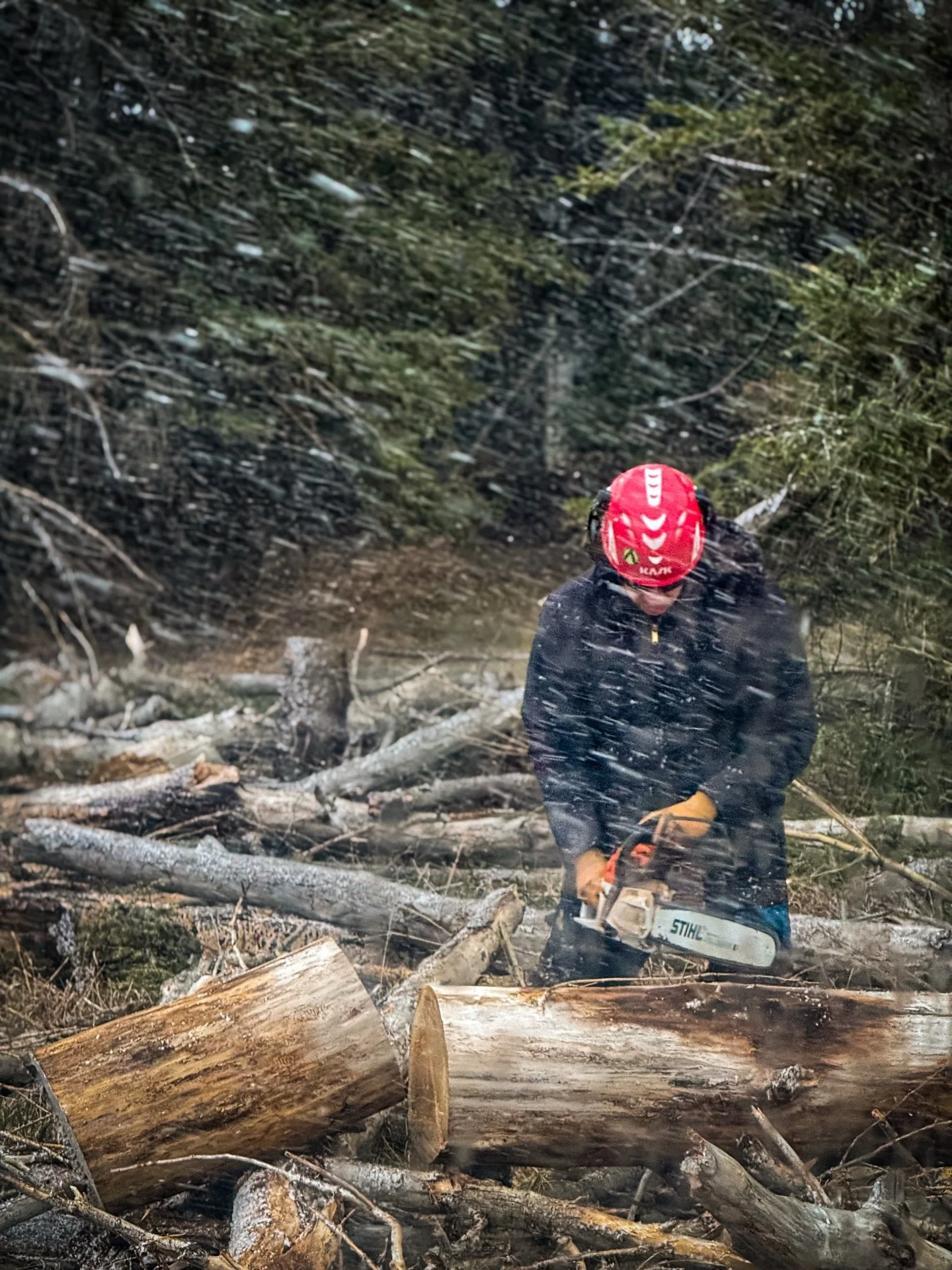 April in Alberta. The calendar says spring. The sky didn&rsquo;t get the memo. Work doesn&rsquo;t stop. ❄️🪚
#ArboristLife #AlbertaWeather #Lethbridge #TreeWork #TimberlineArborists @aidanlabarowski