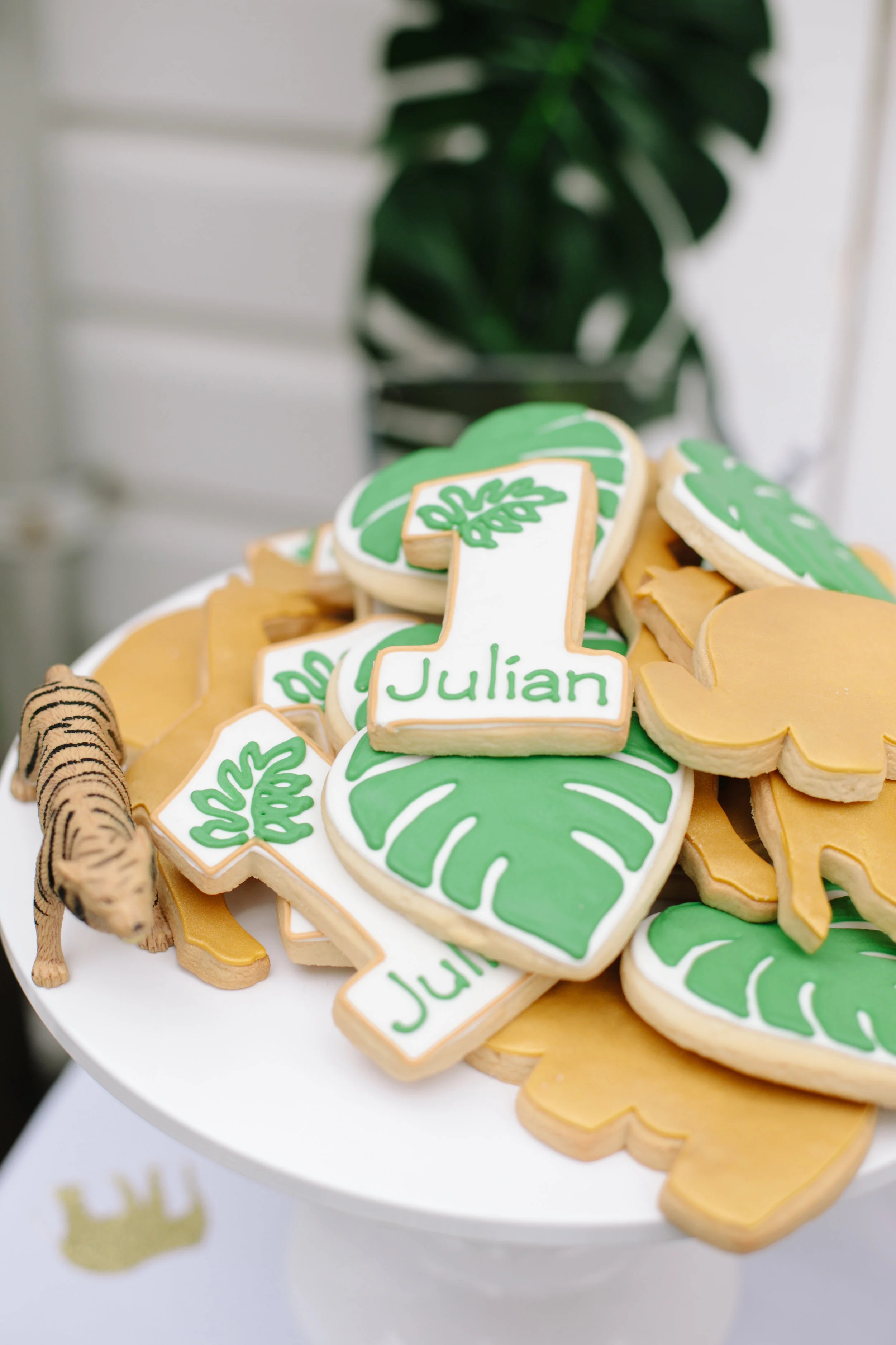 AngelaDatreEvents_JulianFirstBirthday_090118-27.jpg