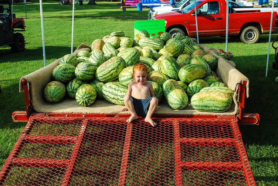 Photo Gallery — 48th Annual Hope Watermelon Festival August 810