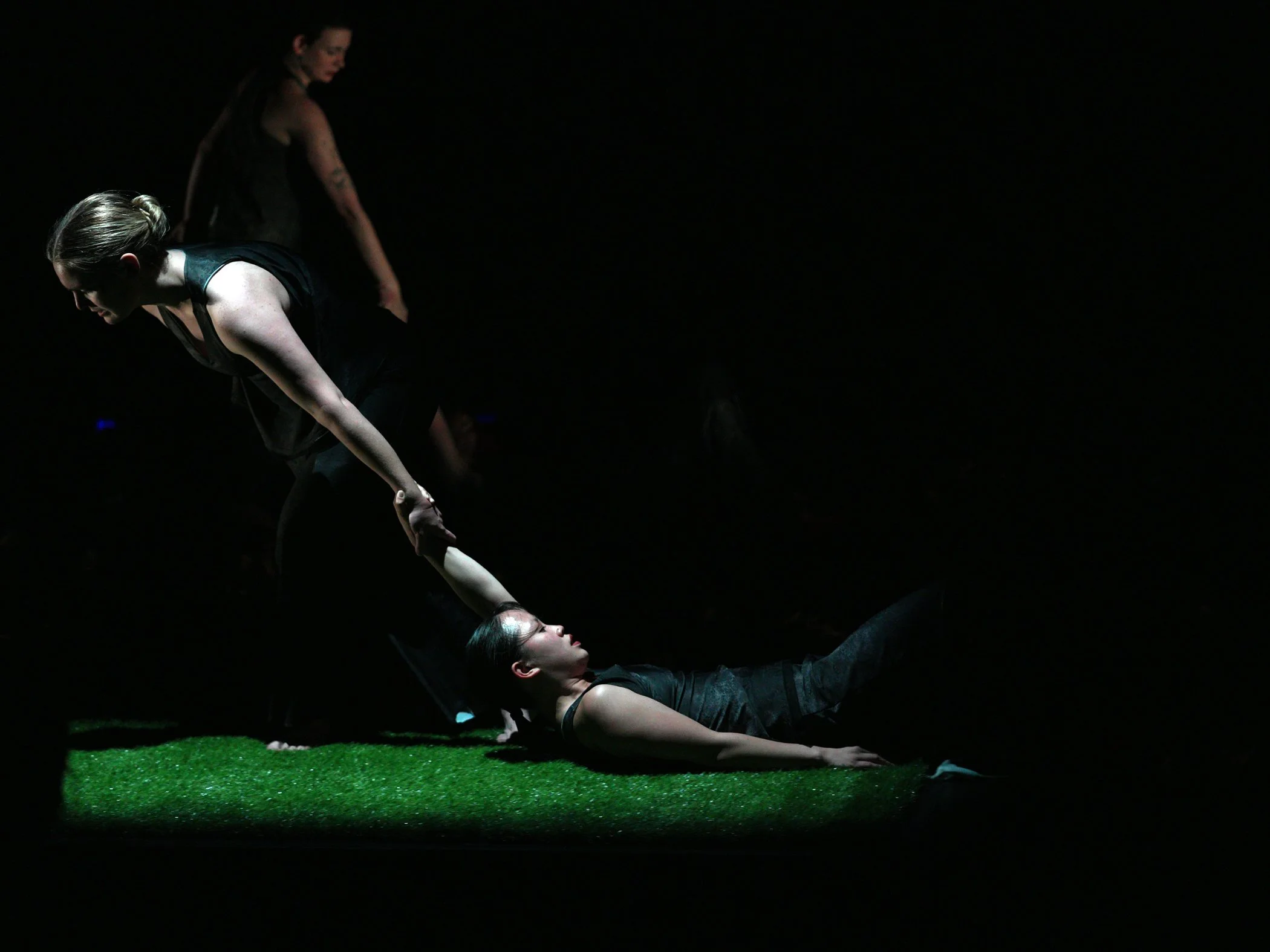 Molly pull Madison IRS sm.jpg