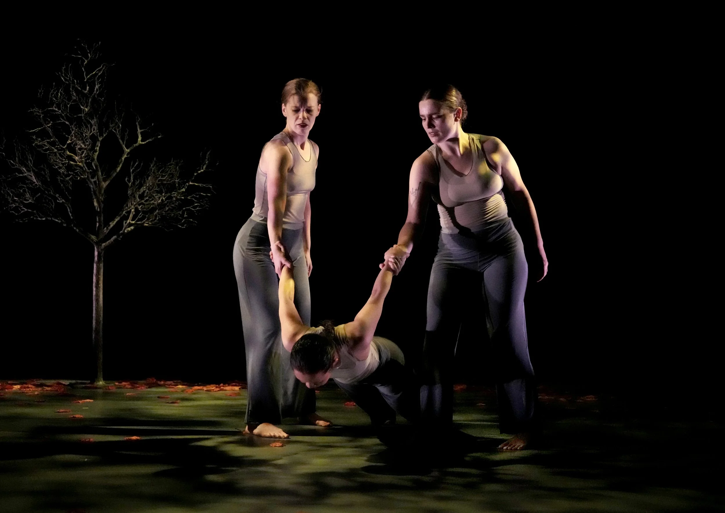 YNH madison lowered down end.jpg