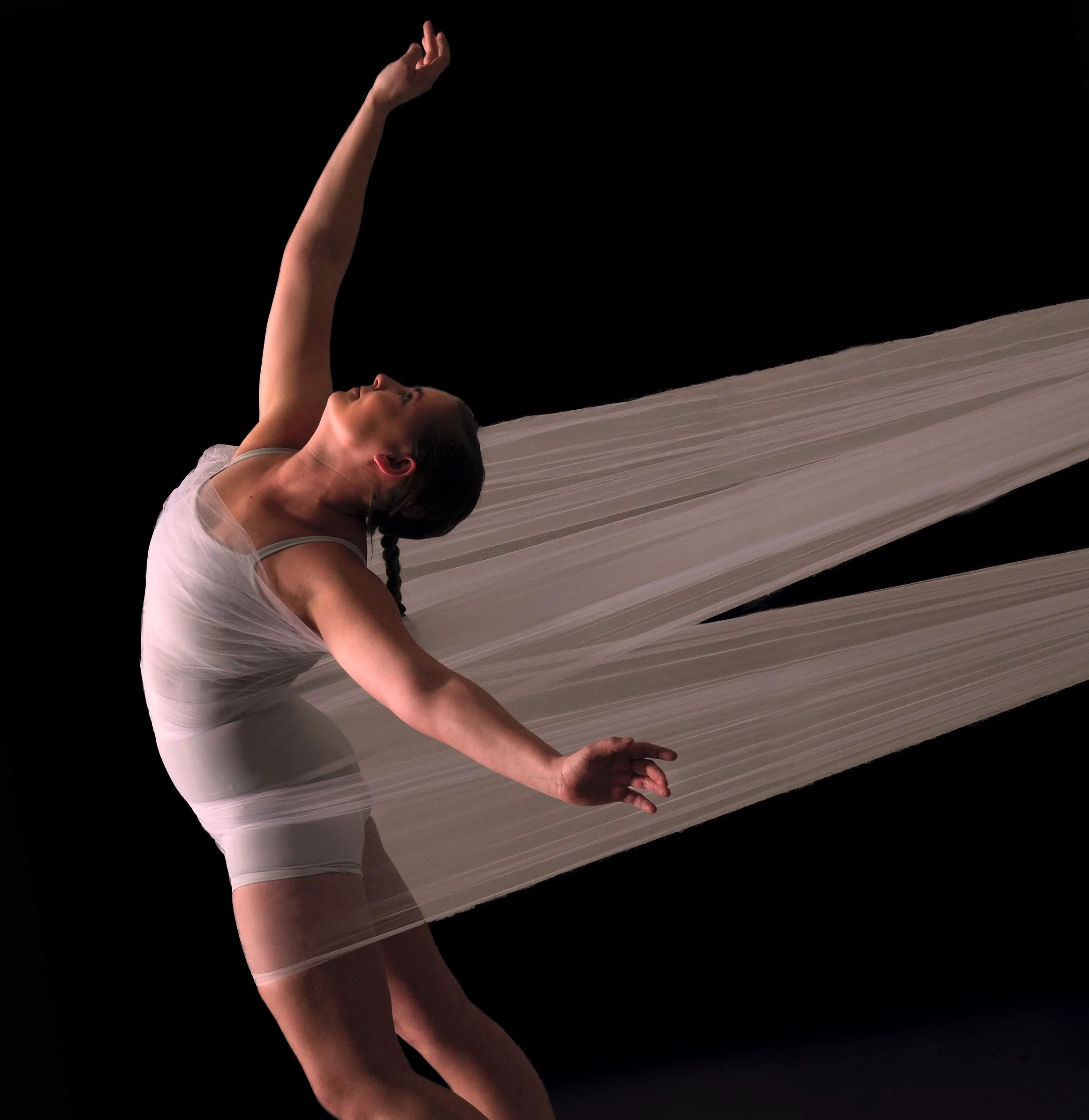 Anna fabric crop final.jpg