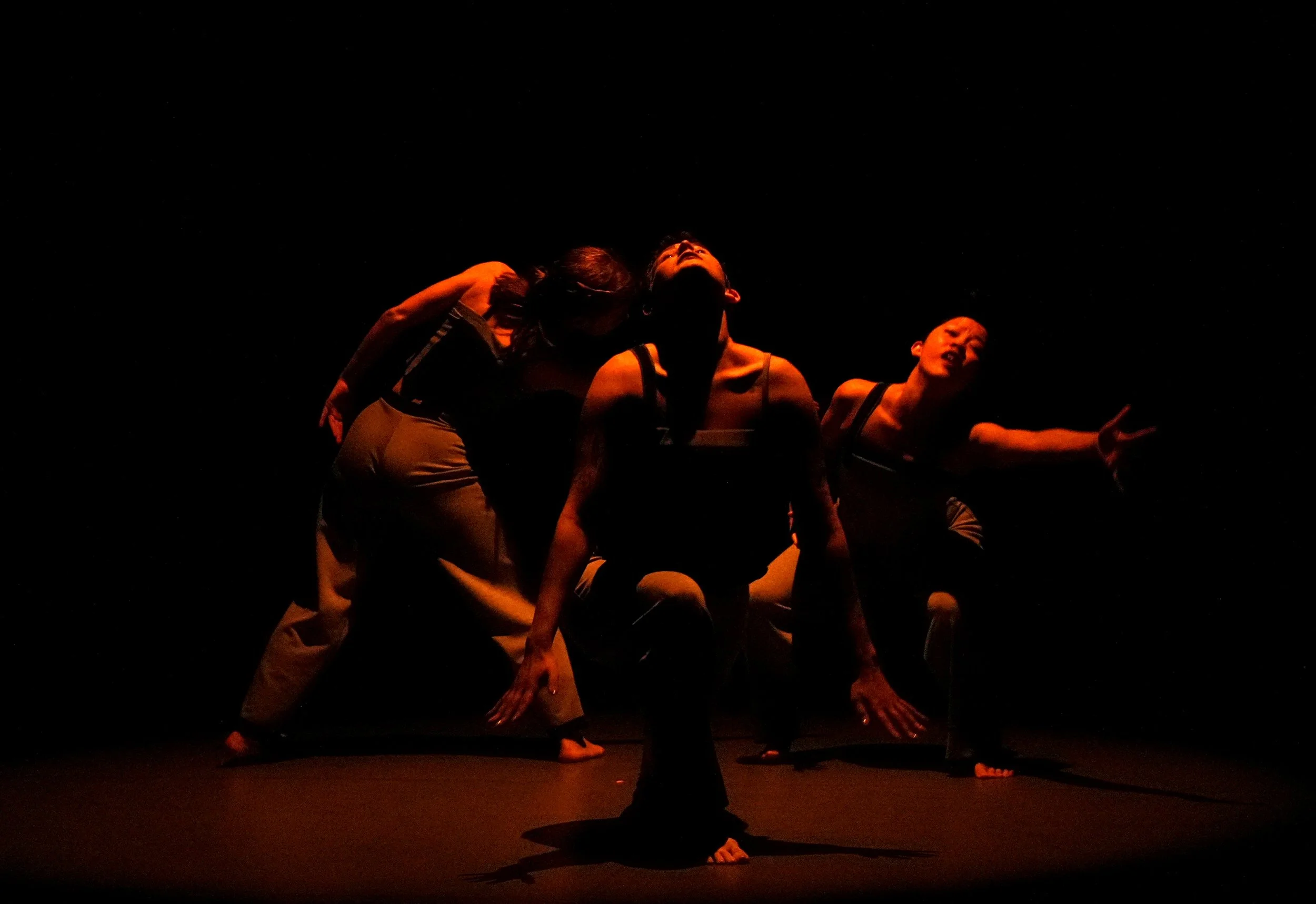 DSC01345 (2).JPG