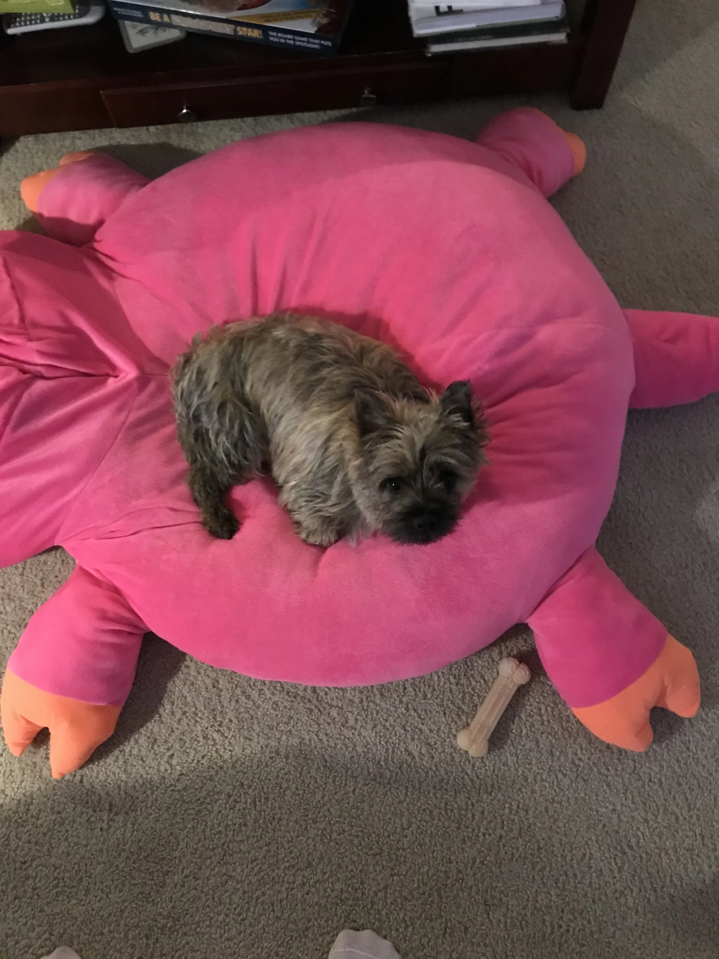 Having Trouble Sleeping?