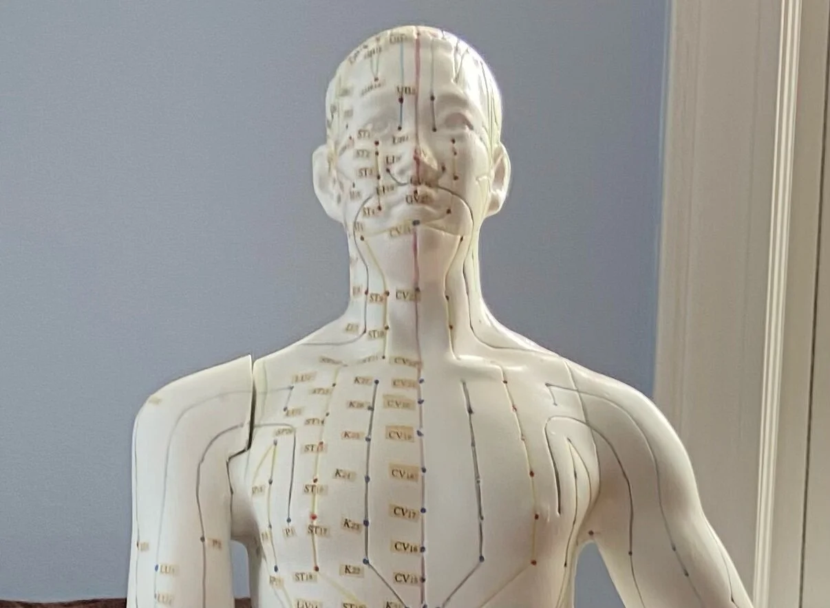 My 5 Favorite Points